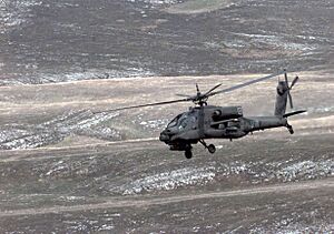 Defense.gov News Photo 980902-A-2839B-002