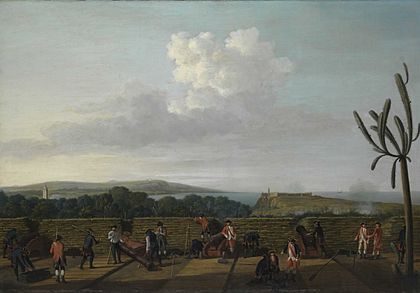 Dominic Serres the Elder - The Capture of Havana, 1762, the English Battery before Morro Castle