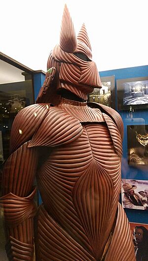 Dracula armor - Coppola - Sarah Stierch 01