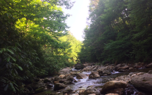 East Fork of the Pigeon River