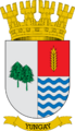Escudo de Yungay