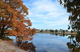 Fine autumn views at Nature Park Maasduinen at 10 October 2012 - panoramio