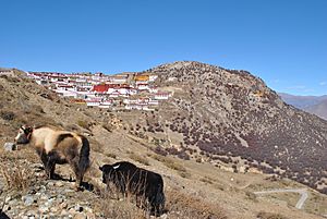 Ganden monastery, 2013