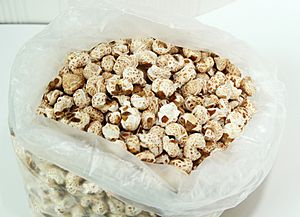 Gangnaengi (Korean popcorn)