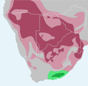 Geographic distribution of the glossy starling, subspp.png