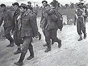 German prisoners being escorted by Indian troops after the Battle of the Sangro 1943