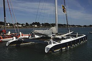 Gitana 13
