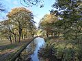 Hanley Park, Caldon Canal - geograph.org.uk - 5182581