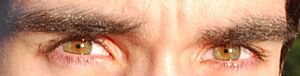 Hazel green eyes close up