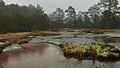 Heggies Rock in the Rain small