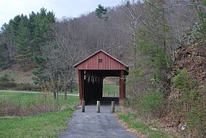Hokes Mill Covered Bridge - Through View