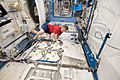 ISS-20 Robert Thirsk at the Minus Eighty Degree Laboratory Freezer