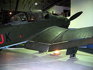 Junkers Ju 87 Inverted Wings