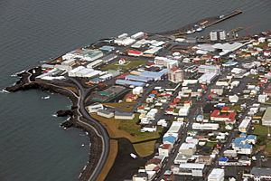 August 2009 aerial view