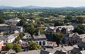 Kildare Cathedral Market Square and Heritage Centre as seen from the Round Tower 2013 09 04