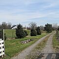 LawndaleFarm