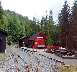 Lommedalsbanen 140720086586