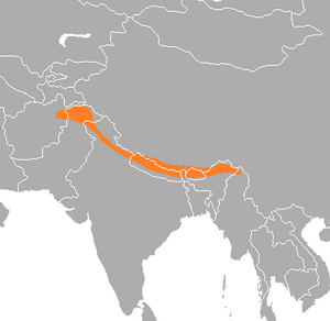 Map showing range of the Himalayan Monal