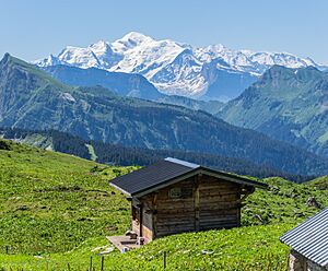 Massif du Mont-Blanc 06