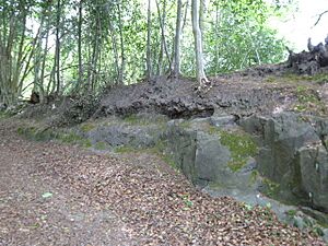 Mills Rocks (7)