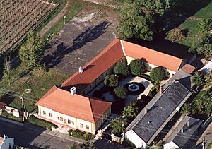 Monok (Kossuth Lajos)