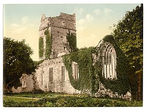 Muckross Abbey, Killarney. County Kerry, Ireland-LCCN2002717429