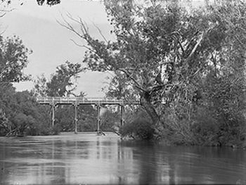 Murray River (Pinjarra Bridge).jpg
