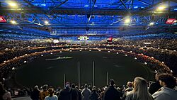 Neale Daniher tribute (STK vs HAW) 5 2