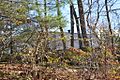 NewCanaanCT FirstJohnBlackLeeHouse