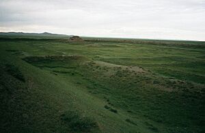 Ordu-baliq