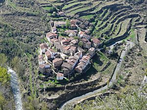 Air view of Peroblasco.