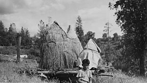 Photographs, with captions, of acorn cache and Mary Longfellow pounding acorns at Tuolumne reservation, Tuolumne... - NARA - 296280 (cropped)