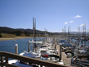 Pillar Point Harbor in April 2007