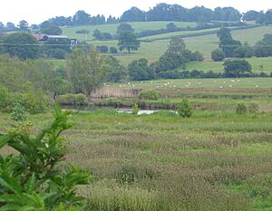 Quoisley Little Mere