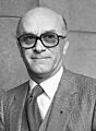 Raif Dizdarević (političar) (cropped)