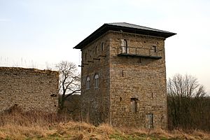 Le donjon de Villeret (the dungeon of Villeret)