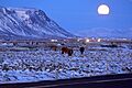 Selfoss im Dezember
