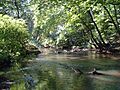 South Branch Big Timber Creek
