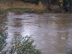 South Yamhill River flooded
