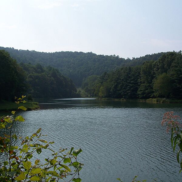 Stonecoal Lake-square