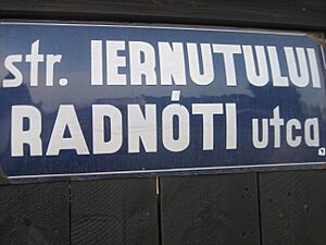 Street sign in Marosvásárhely