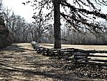 Sunken road, Shiloh National Battlefield (27289020391).jpg
