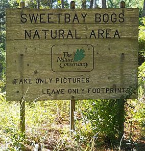 SweetbayBogs Sign.jpg
