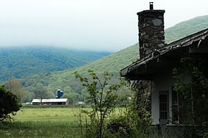 Taconic Ridge view outside The Hub, Copake, New York