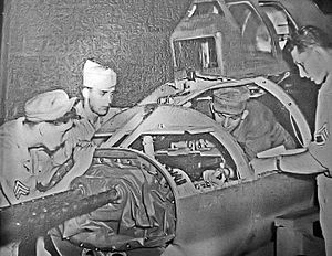 Tail position maintenance - MacDill AAF Florida - 1944