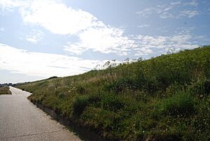 Tankerton Slopes (2) - geograph.org.uk - 1456981
