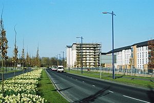 The Boulevard, Oatlands, Glasgow - geograph.org.uk - 543939