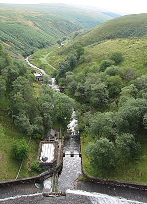 The Grwyne Fawr below the reservoir dam spillway (geograph 3590134)