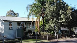 The Gums State School, 2016