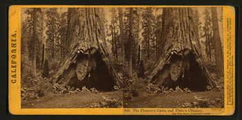 The Pioneer's Cabin and Pluto's Chimney, Big Tree Grove, Calaveras County, by Lawrence & Houseworth